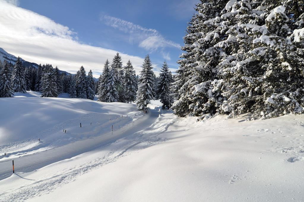 Landhotel Berghof Bad Hindelang Buitenkant foto